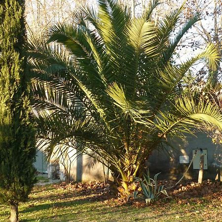 B&B Alle Terme Viterbo Exterior photo